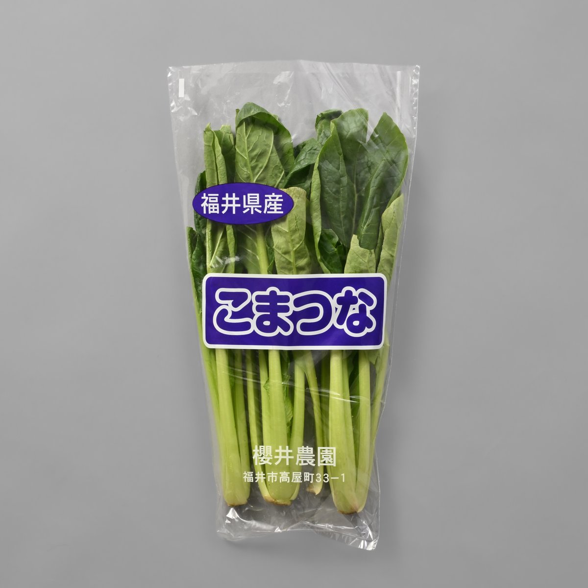 こまつな